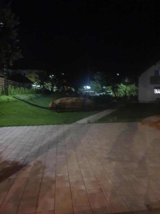 Pensiunea Transilvania Covasna Buitenkant foto