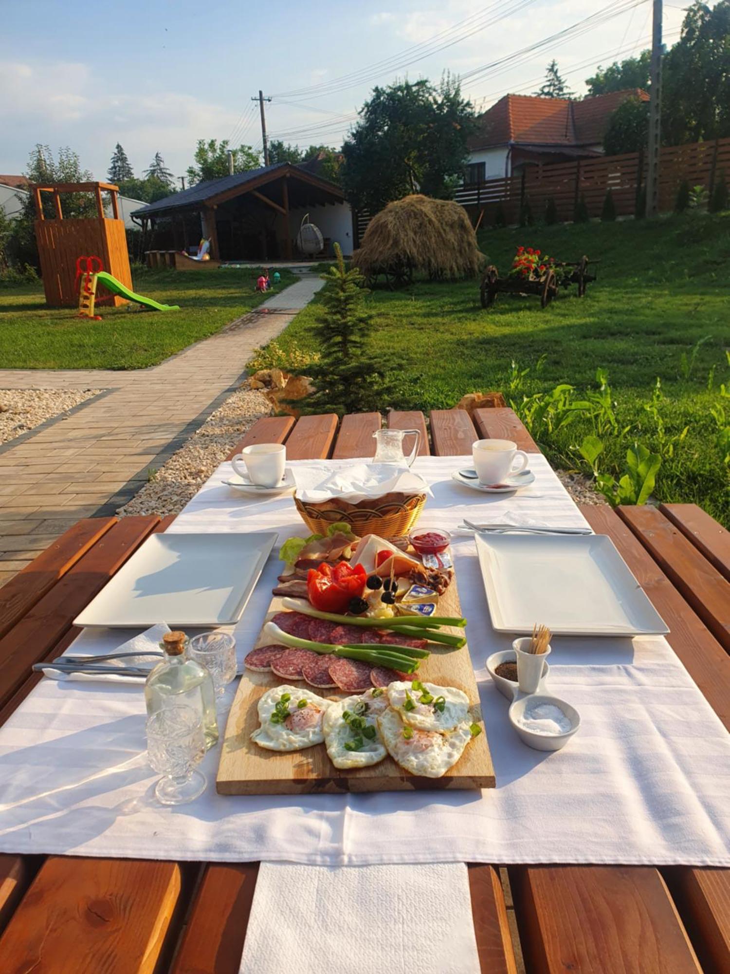 Pensiunea Transilvania Covasna Buitenkant foto