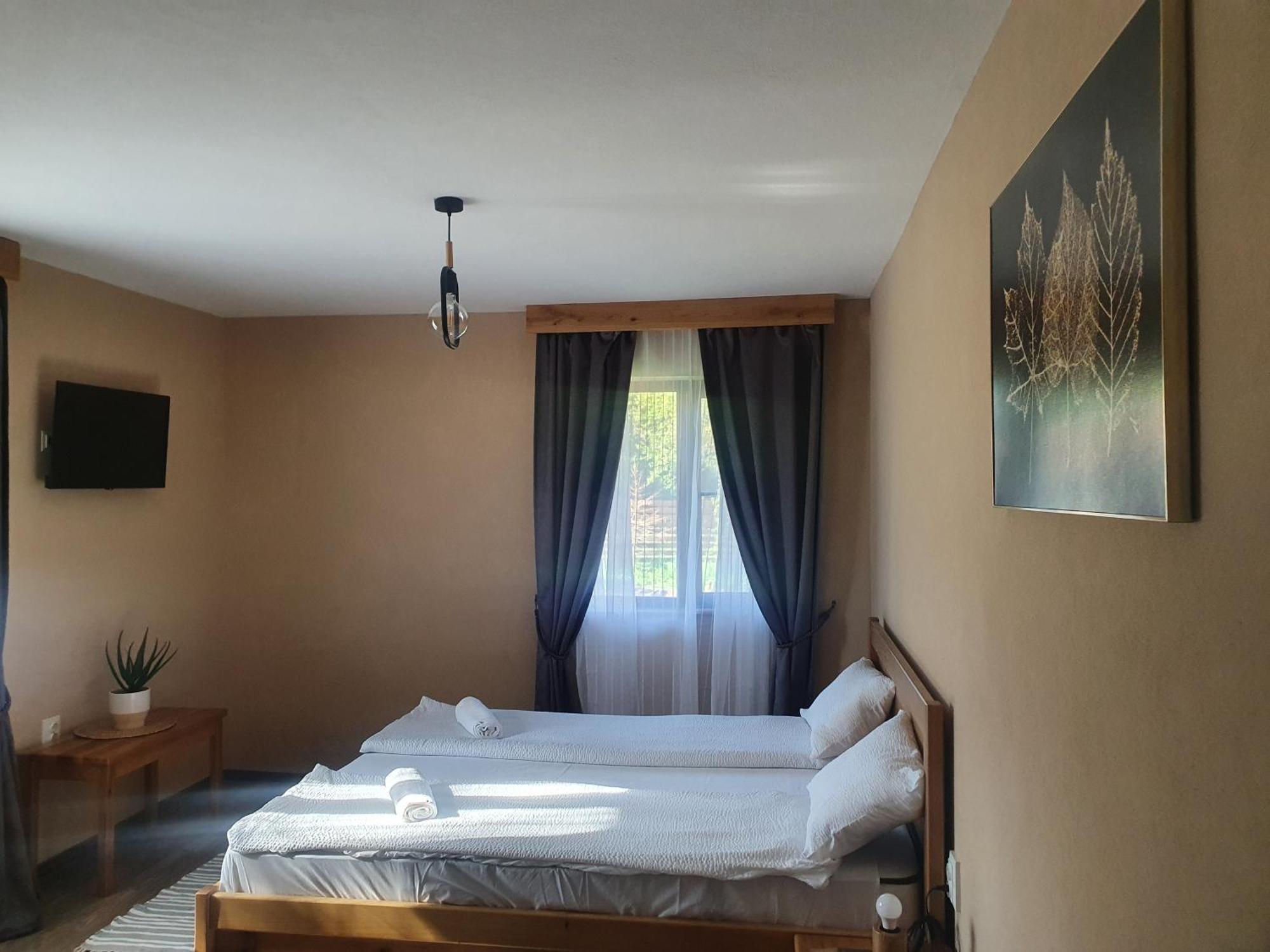 Pensiunea Transilvania Covasna Kamer foto
